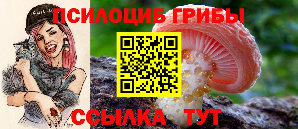 Саров  Галлюциногенные грибы Psilocybine cubensis  Галлюциногенные грибы Cubensis  Вход с VPN 