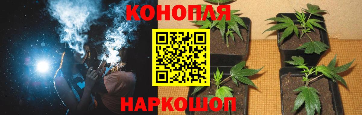 Марихуана Amnesia Саров